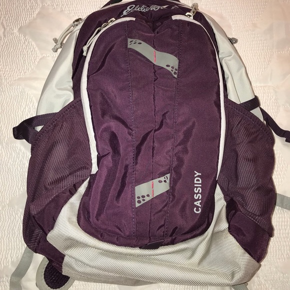 eddie bauer cassidy backpack